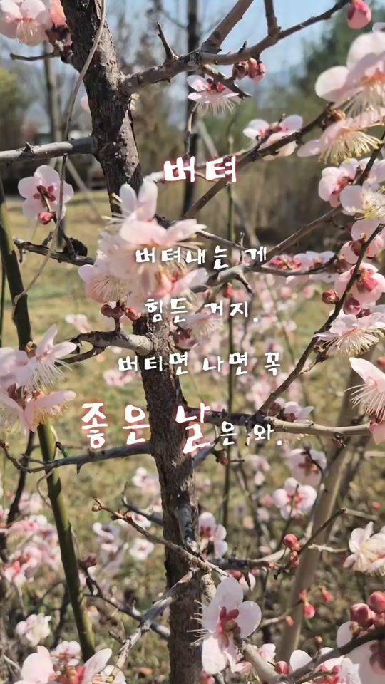 TikTok video thumbnail by soon109200