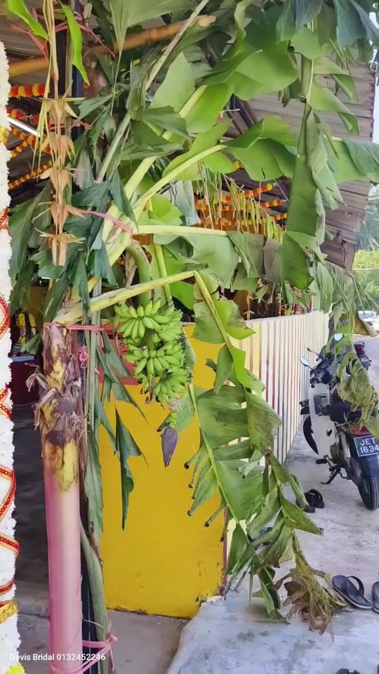 TikTok video thumbnail by devisbridal