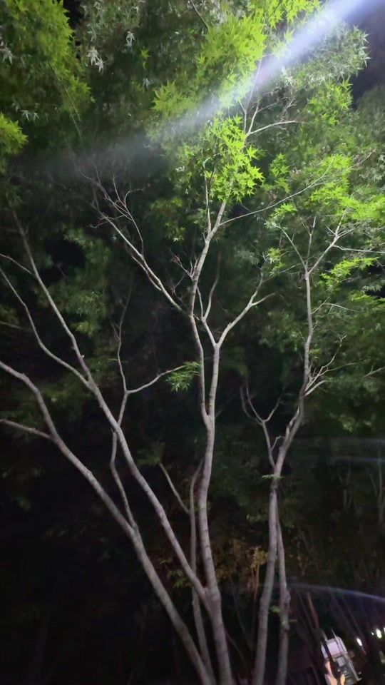 TikTok video thumbnail by nerac06