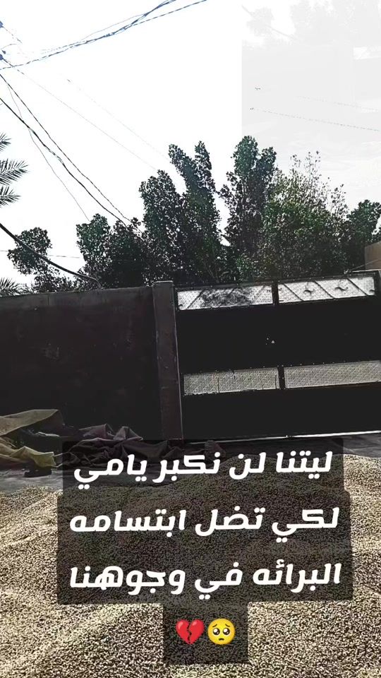 TikTok video thumbnail by sggdfh20