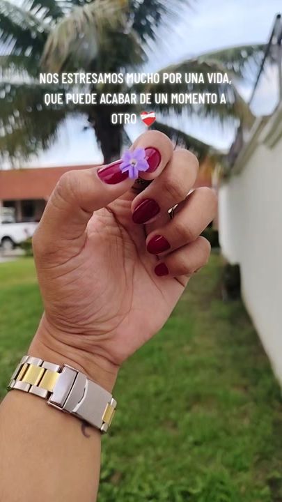 TikTok video thumbnail by mifer005