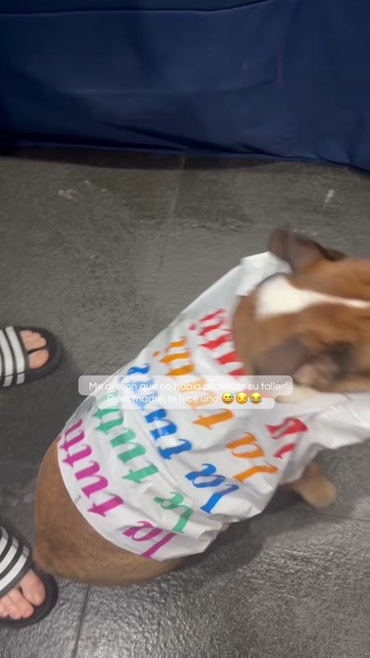 TikTok video thumbnail by angeumpierrez