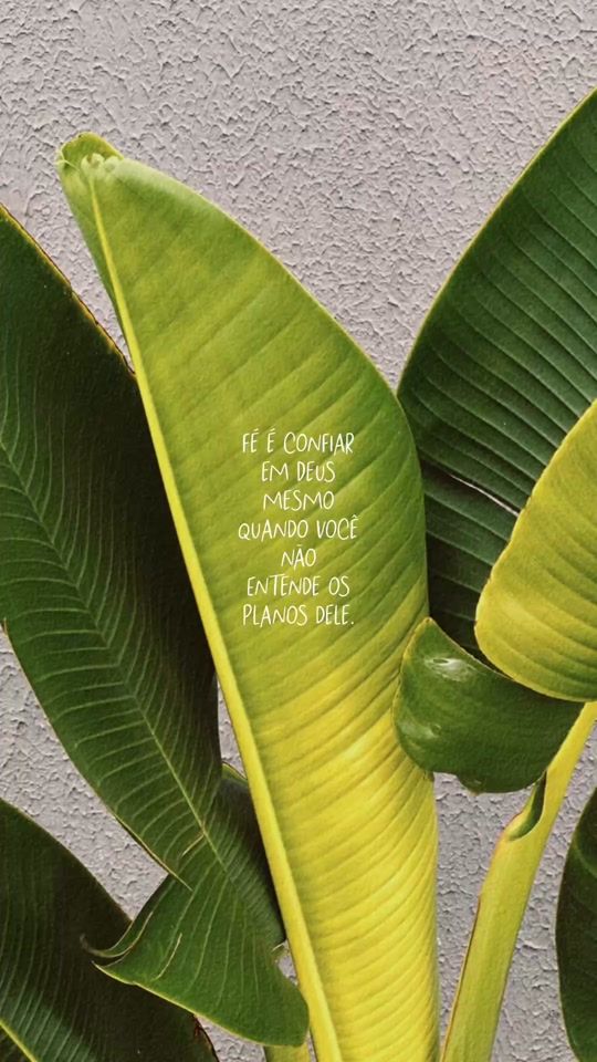 TikTok video thumbnail by anasilvaso18