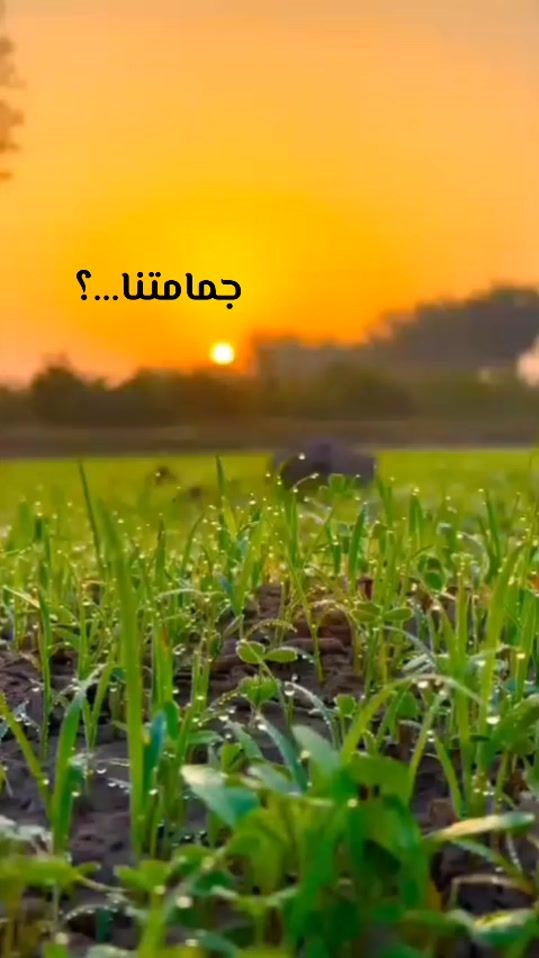 TikTok video thumbnail by hd45gh