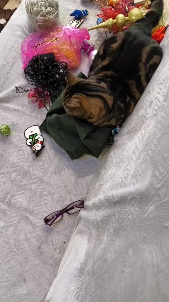 TikTok video thumbnail by kiza110