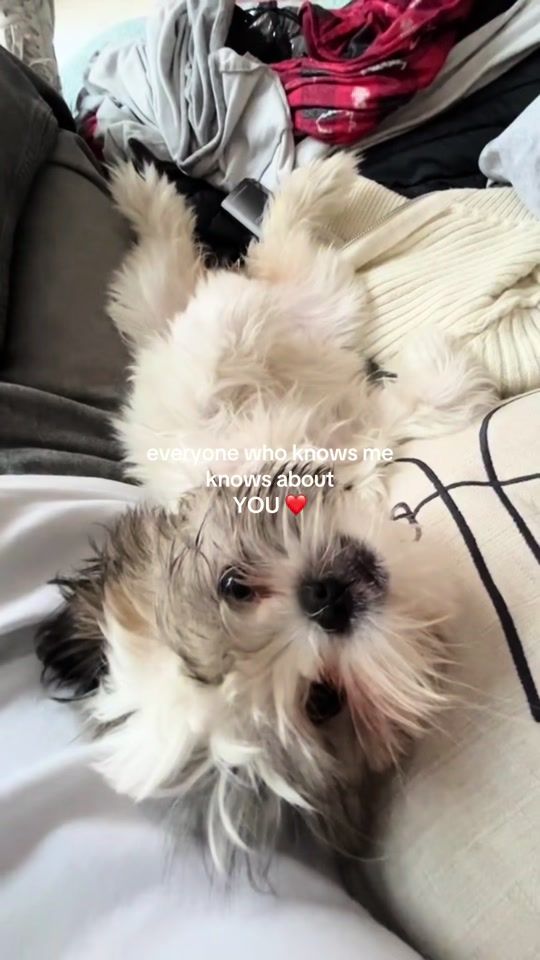TikTok video thumbnail by tinislifee
