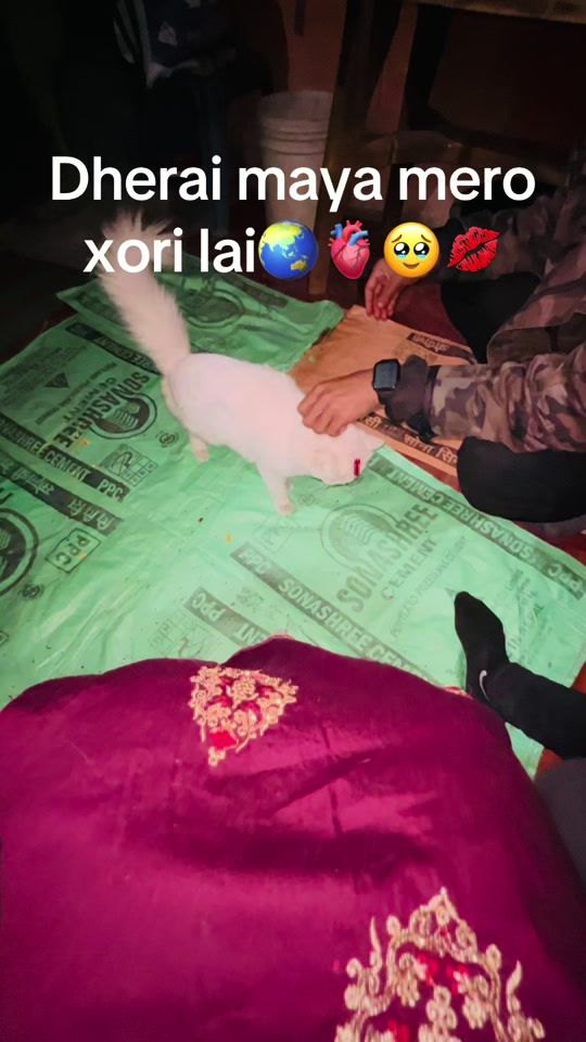 TikTok video thumbnail by luxmidangi999
