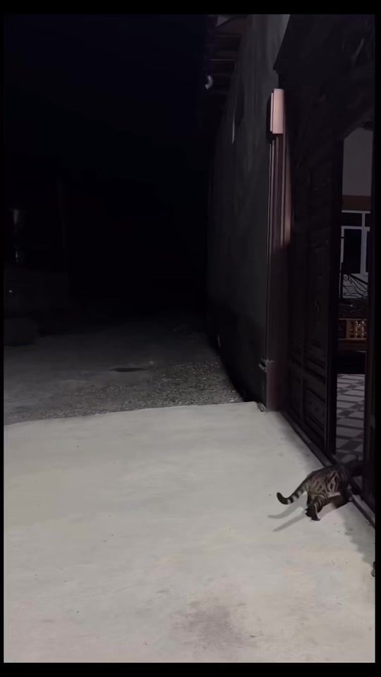 TikTok video thumbnail by ferchu.roldann