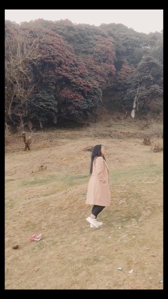TikTok video thumbnail by januka36
