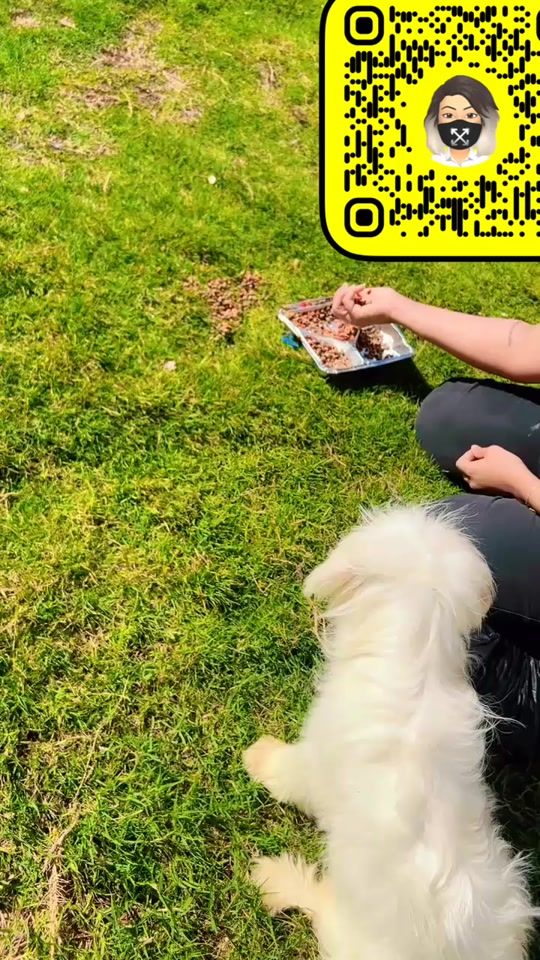 TikTok video thumbnail by somaia2019