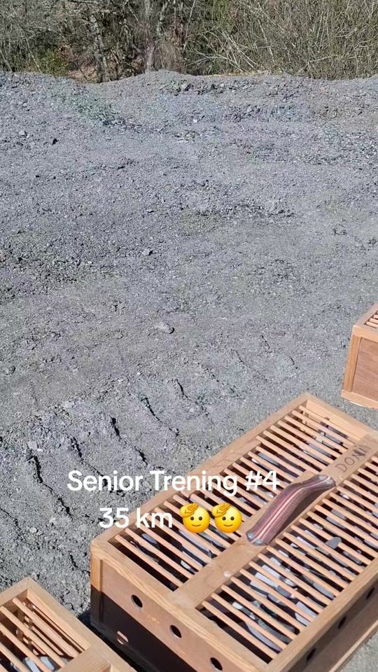 TikTok video thumbnail by pigeonsdoni