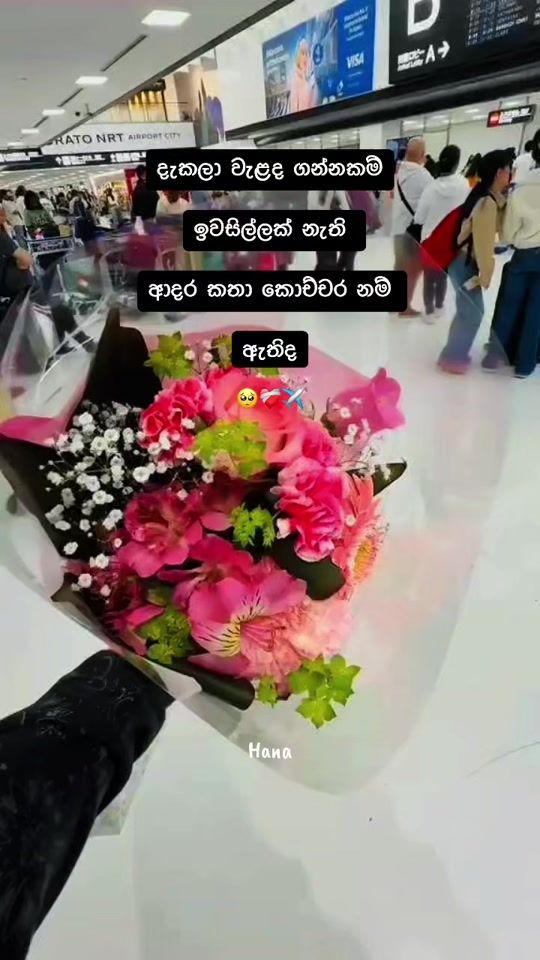 TikTok video thumbnail by shehanifyp