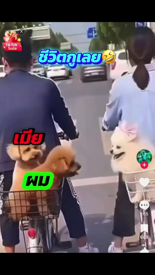 TikTok video thumbnail by punpun_farida