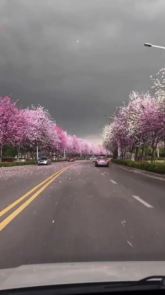 TikTok video thumbnail by moon.com94