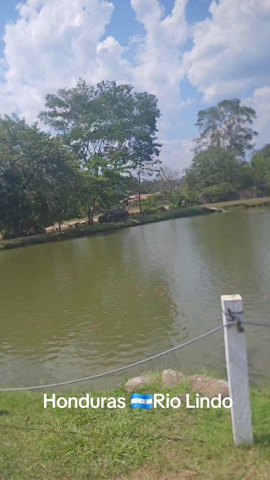 TikTok video thumbnail by soy_abnerluna