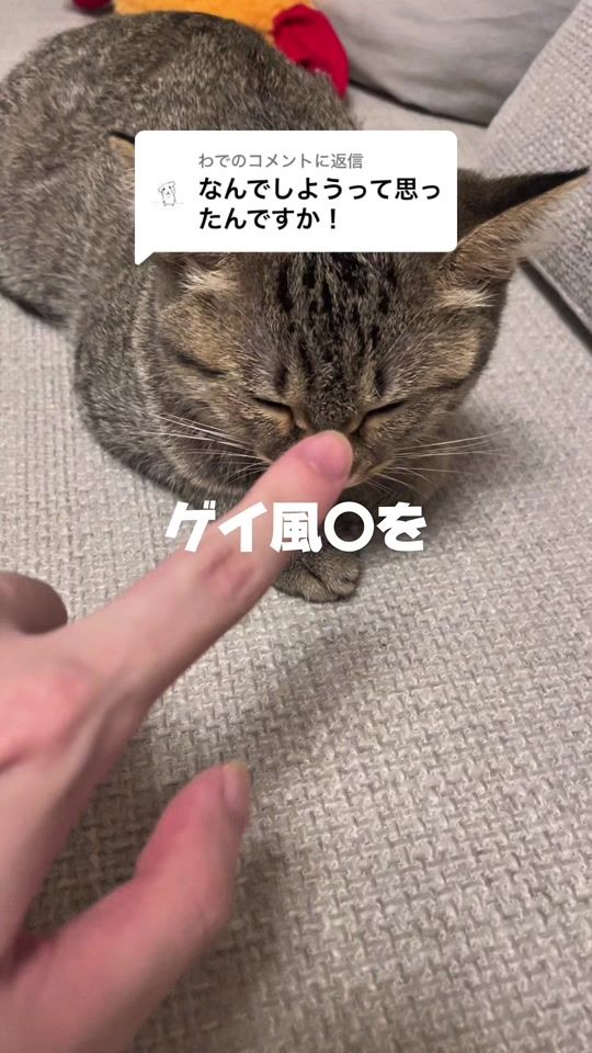 TikTok video thumbnail by nivo2_