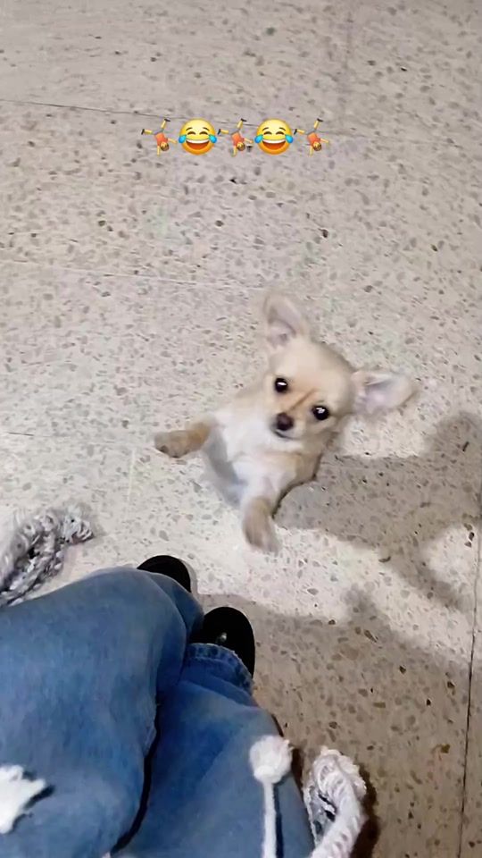 TikTok video thumbnail by sarra.benmoussa