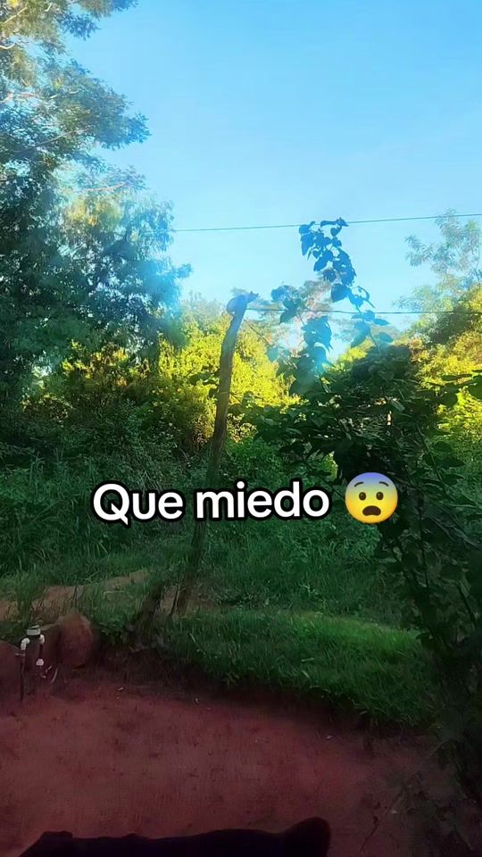 TikTok video thumbnail by santiagogonzale2317