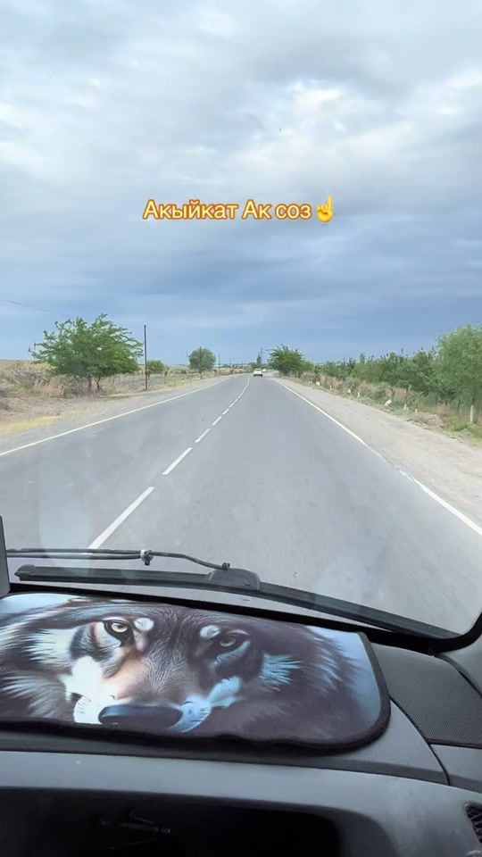 TikTok video thumbnail by jashoo868