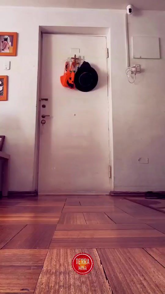 TikTok video thumbnail by terramina_discotheque