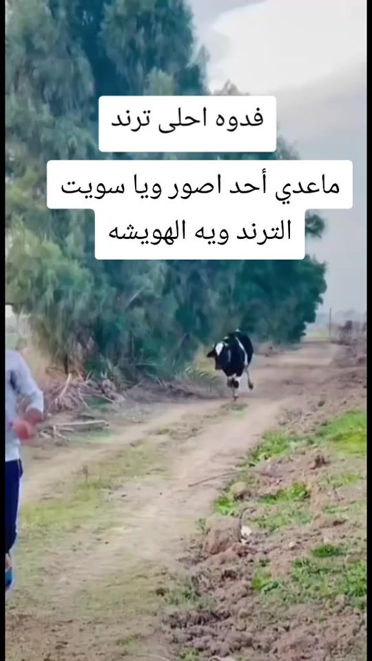 TikTok video thumbnail by sywjo
