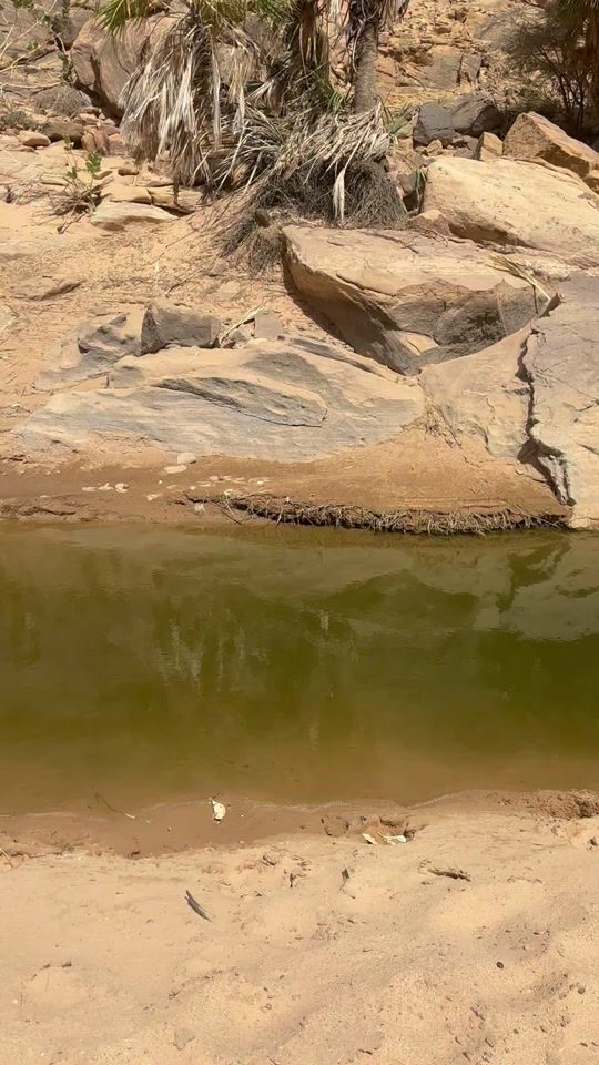 TikTok video thumbnail by tdaga6