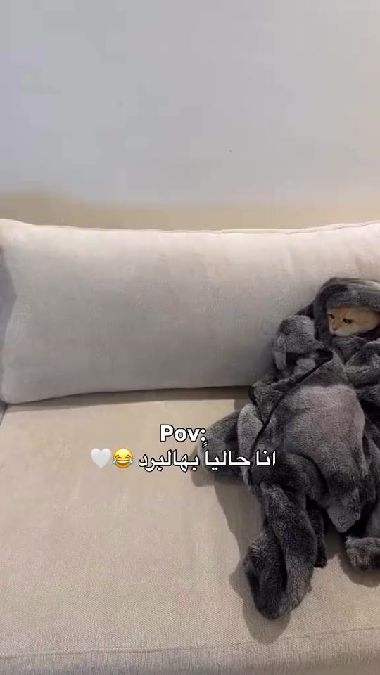 TikTok video thumbnail by kotr_ur