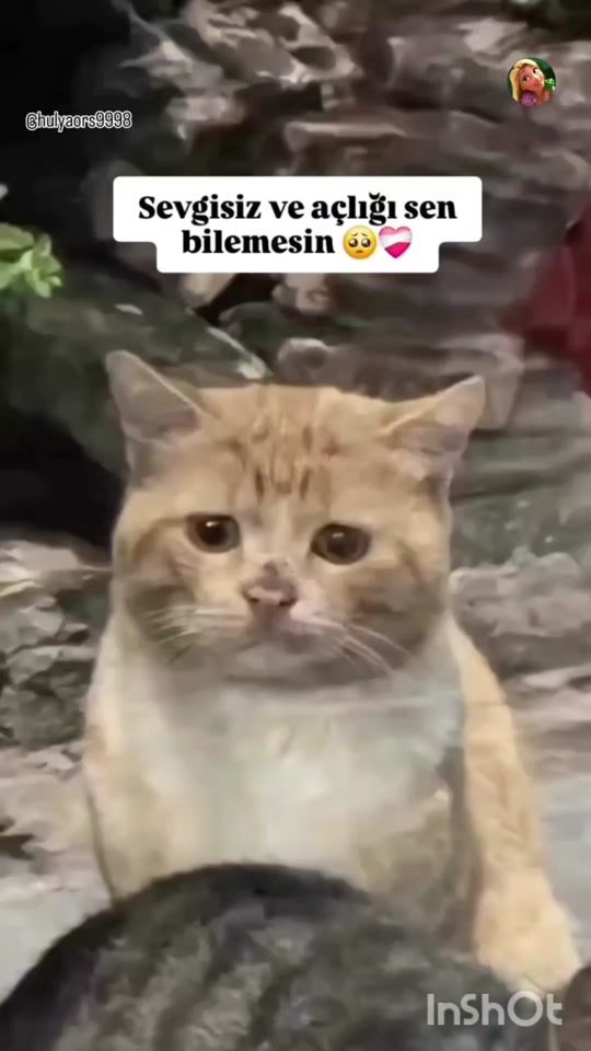 TikTok video thumbnail by gunel____111