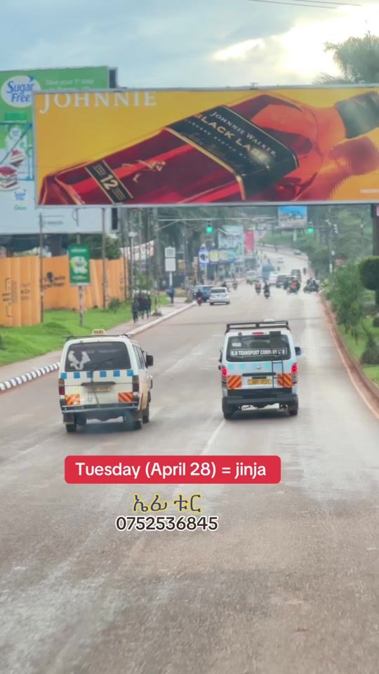 TikTok video thumbnail by efi_tour