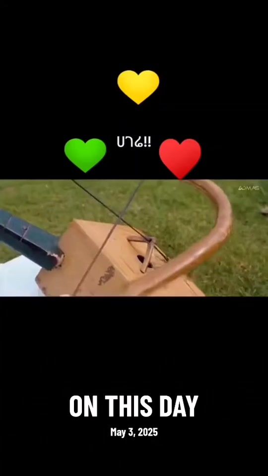 TikTok video thumbnail by teddy_king96