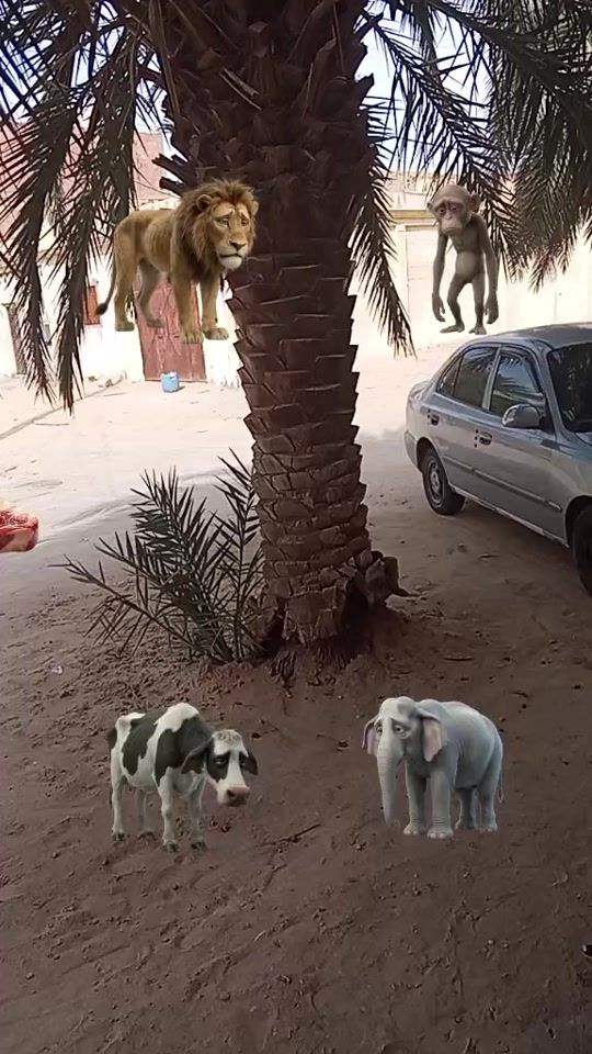 TikTok video thumbnail by abdennour659