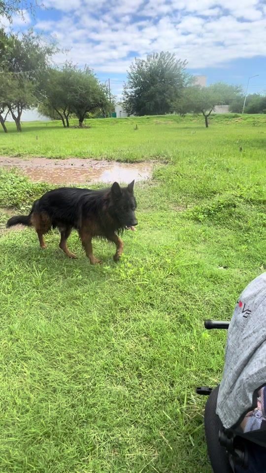 TikTok video thumbnail by samsam3471