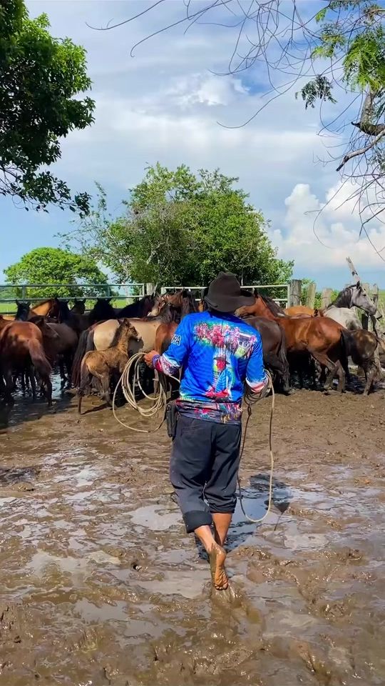 TikTok video thumbnail by llano_alegre