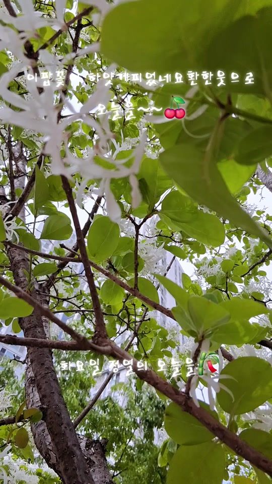 TikTok video thumbnail by leexc50