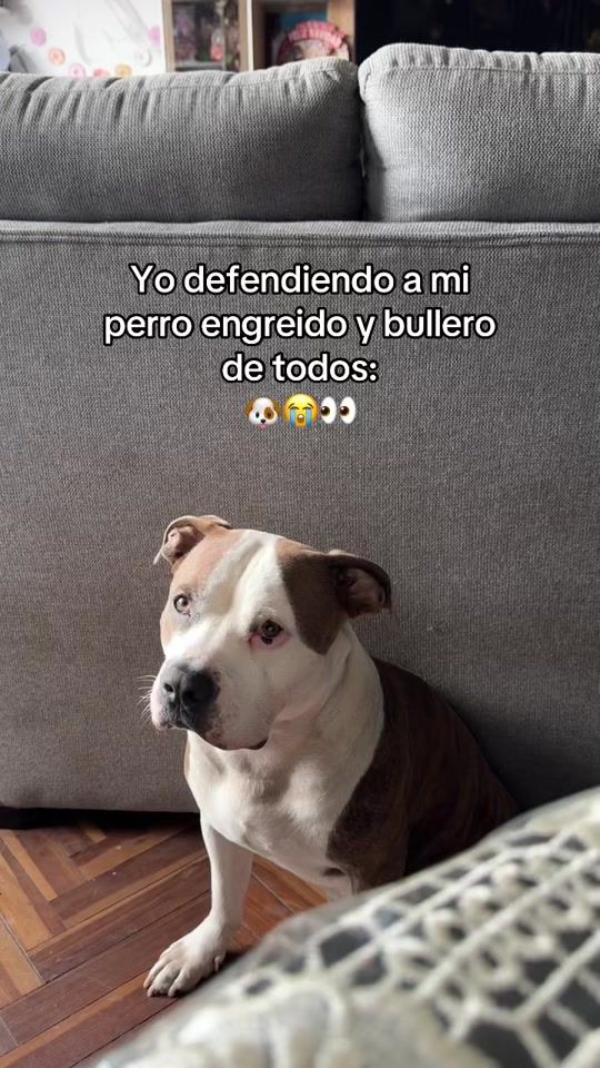 TikTok video thumbnail by lindamanchegoc