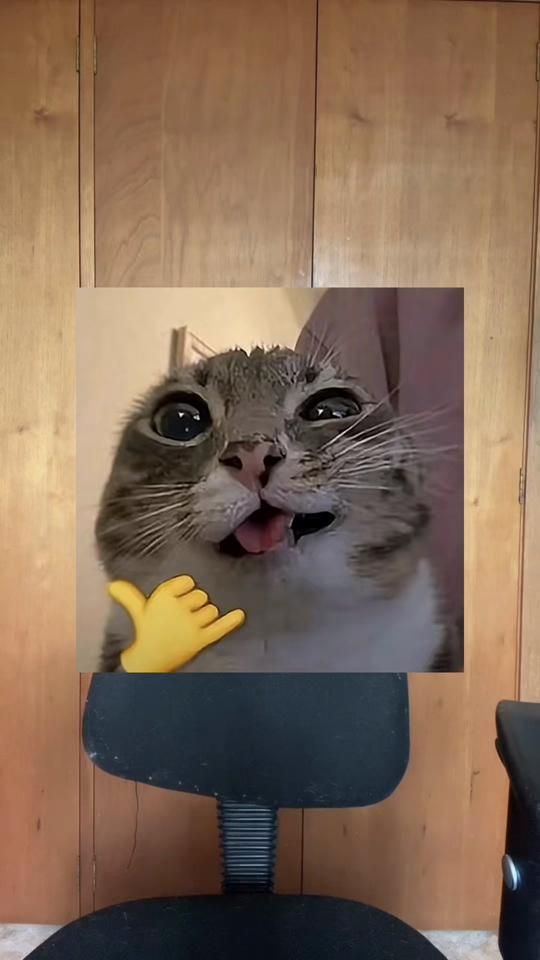 TikTok video thumbnail by johanlyz