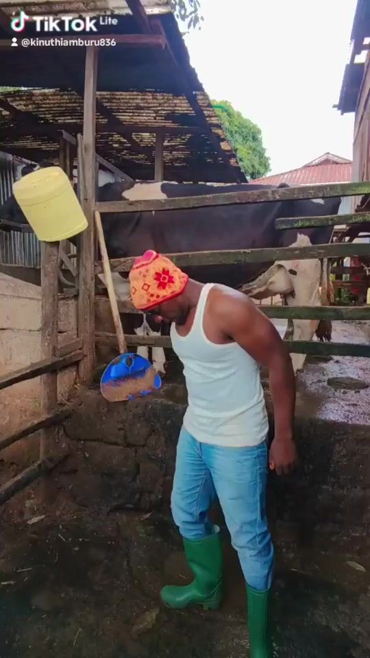 TikTok video thumbnail by user112141031433