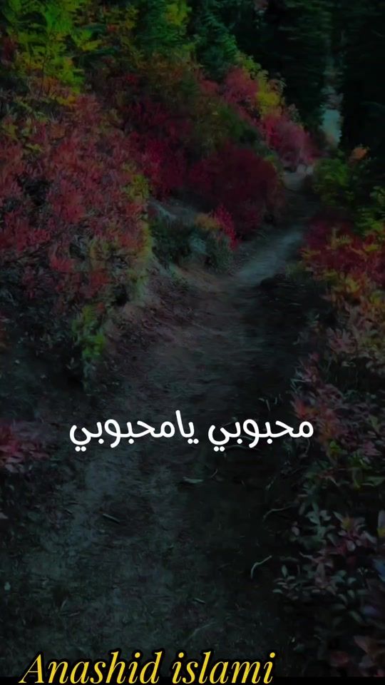 TikTok video thumbnail by anashid_islami