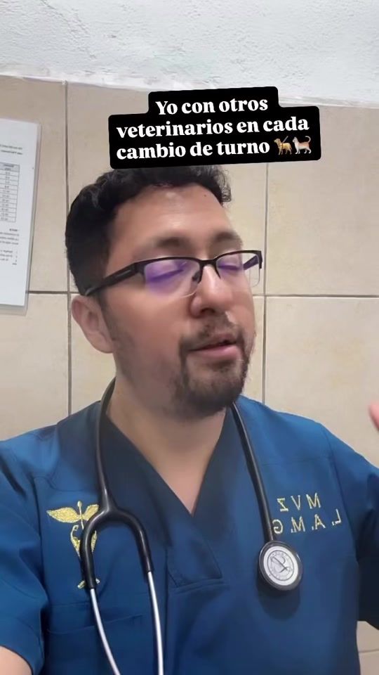 TikTok video thumbnail by dogtor.luis