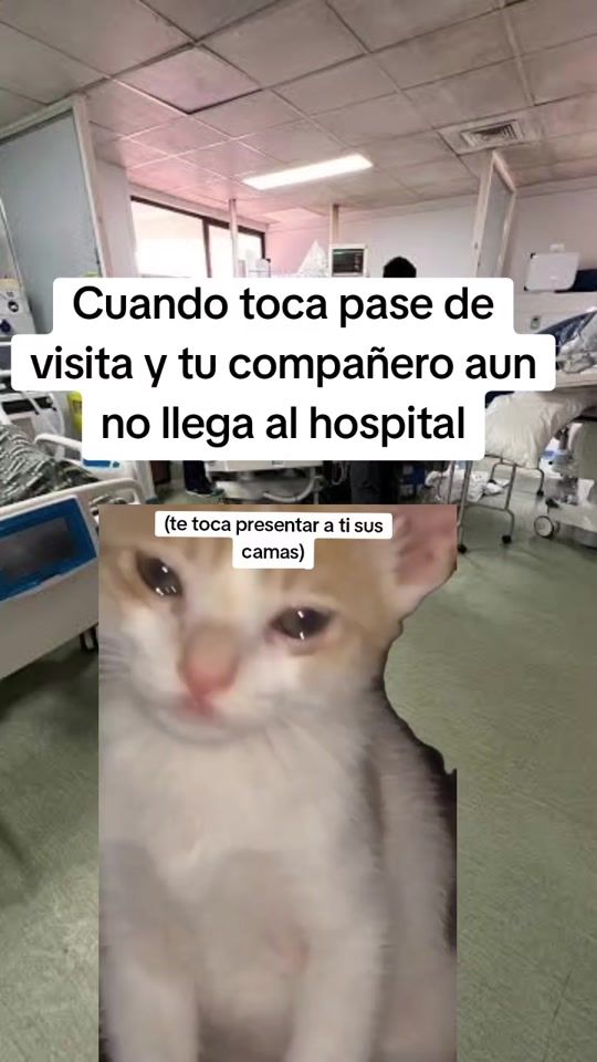 TikTok video thumbnail by dr.joseca
