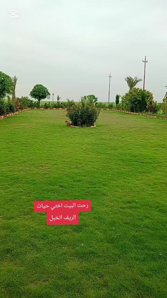 TikTok video thumbnail by nn.hln