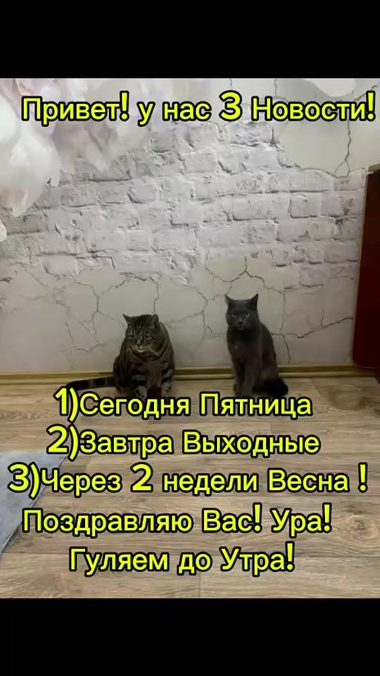 TikTok video thumbnail by kiza110