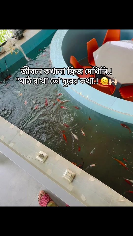 TikTok video thumbnail by localrony0