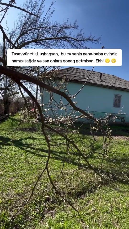 TikTok video thumbnail by ayn6667