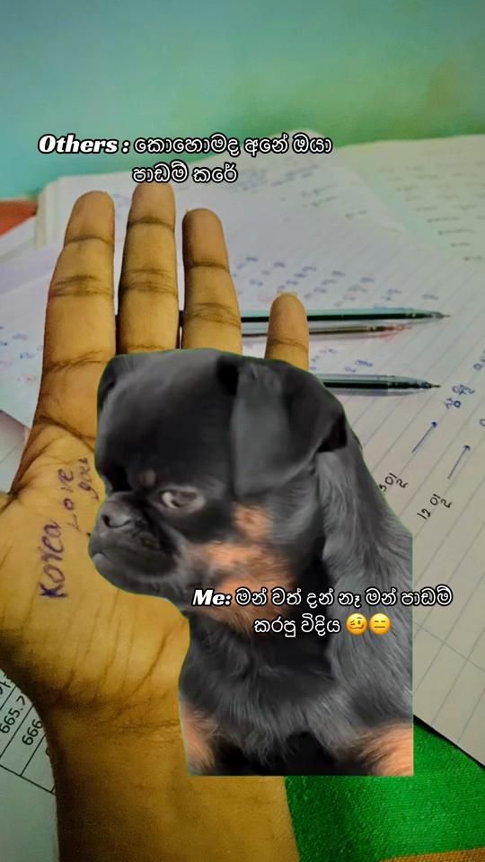 TikTok video thumbnail by maduuu_94