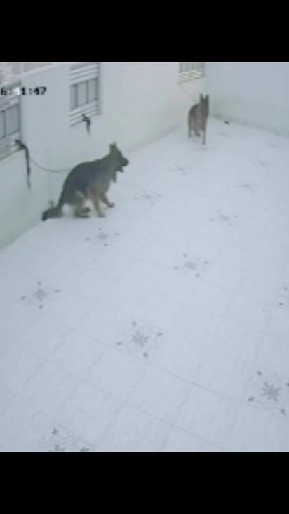 TikTok video thumbnail by riaz_baloch69