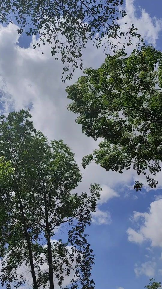 TikTok video thumbnail by thuzar4152