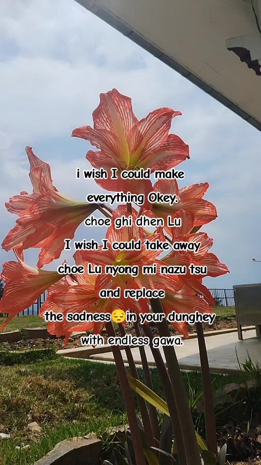 TikTok video thumbnail by twangmo2424gmail.com