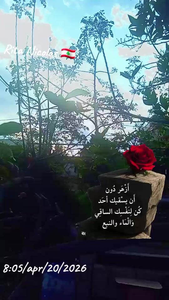 TikTok video thumbnail by ritanicolas8