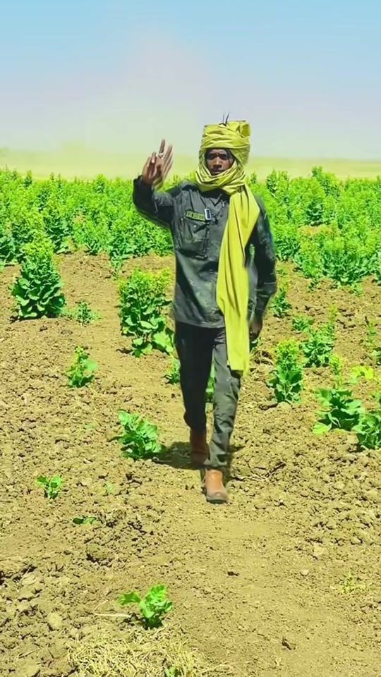 TikTok video thumbnail by abdo.aosa